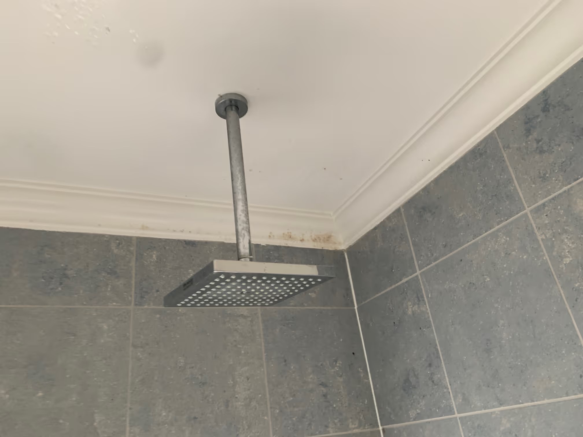 Rain showerhead install, Sunshine, VIC